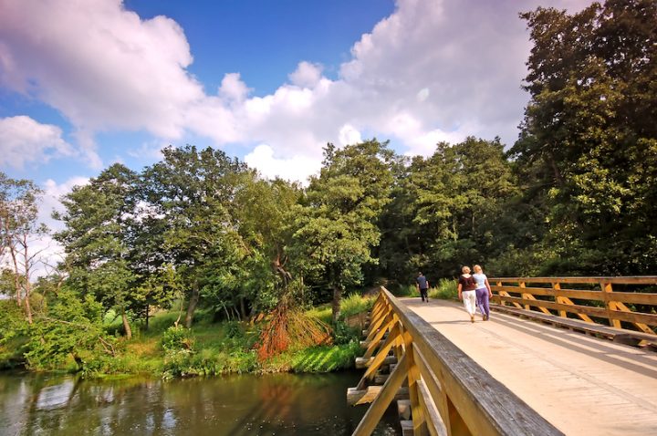 Summer landscape. Bridge in park