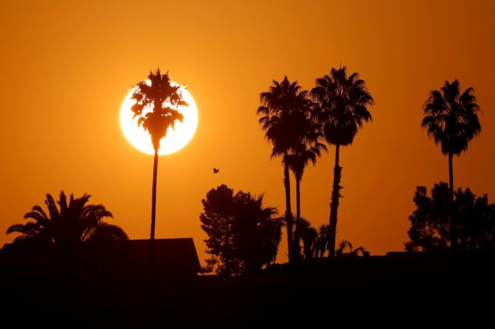 FILE PHOTO: The morning sun rises over a neighborhood as a heatwave continues during the outbreak of the coronavirus disease (COVID-19) in Encinitas, California, U.S., August 19, 2020. REUTERS/Mike Blake/File Photo